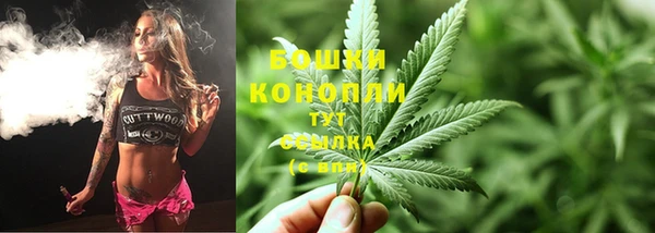 тгк Касимов