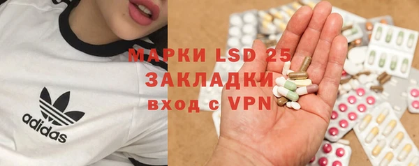 spice Карпинск