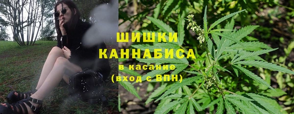 тгк Касимов