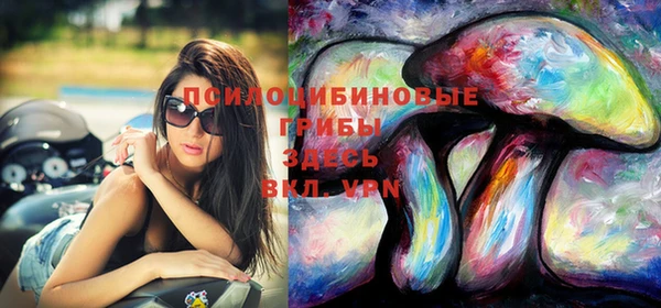 spice Карпинск