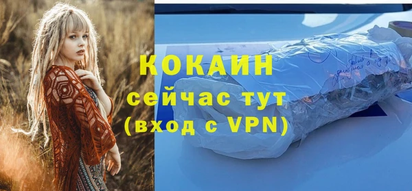 spice Карпинск