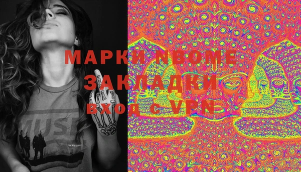 тгк Касимов