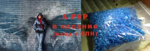 тгк Касимов