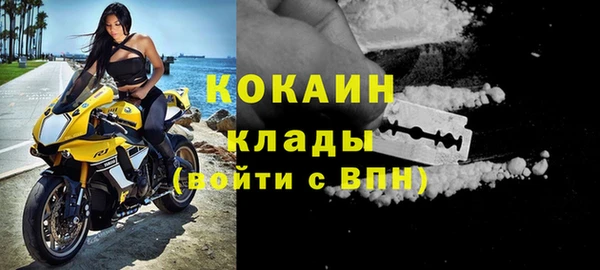 тгк Касимов