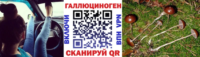 Псилоцибиновые грибы мухоморы  Купить закладки  Богданович 